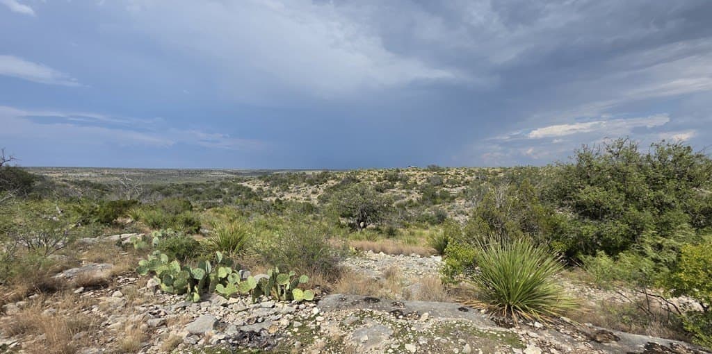200 acres in Crockett County gallery image 4