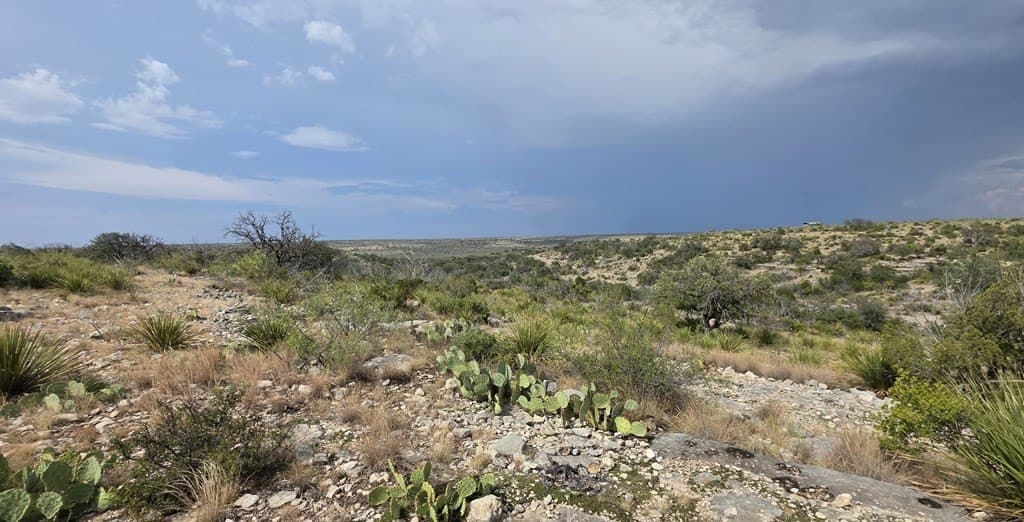 200 acres in Crockett County gallery image 2