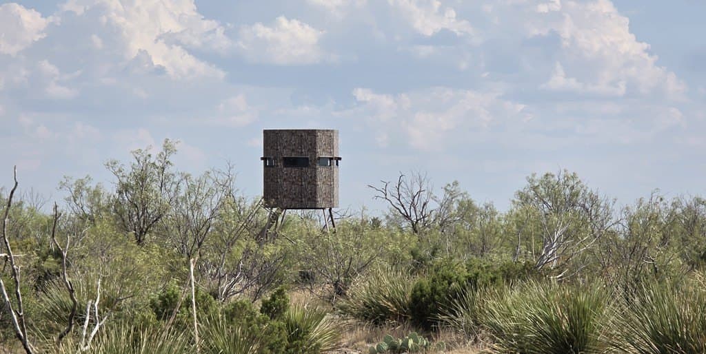 200 acres in Crockett County featured view