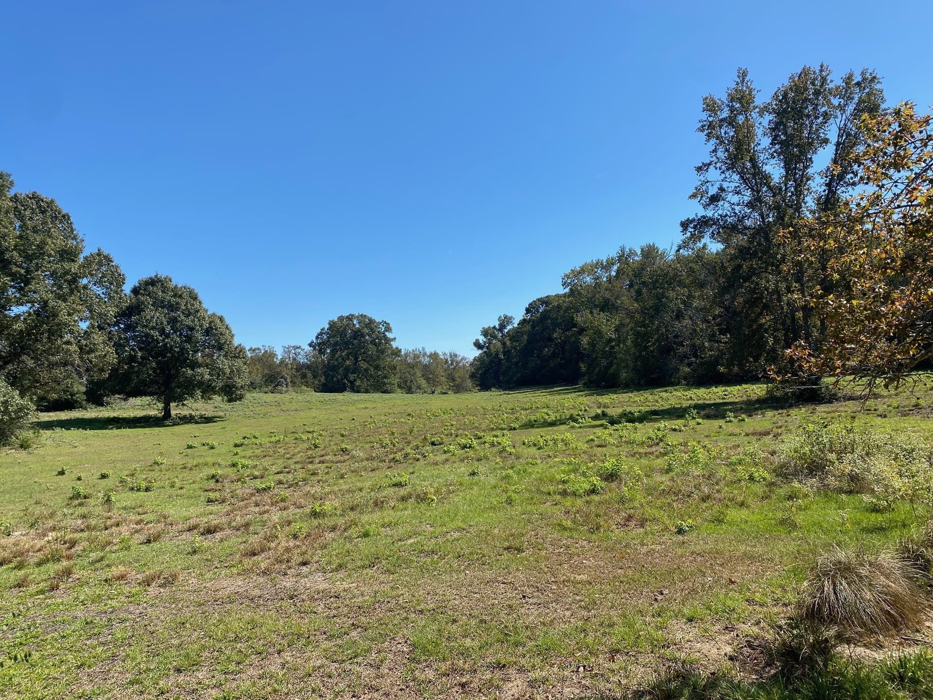 10.48 acres in Leon County - photo 5