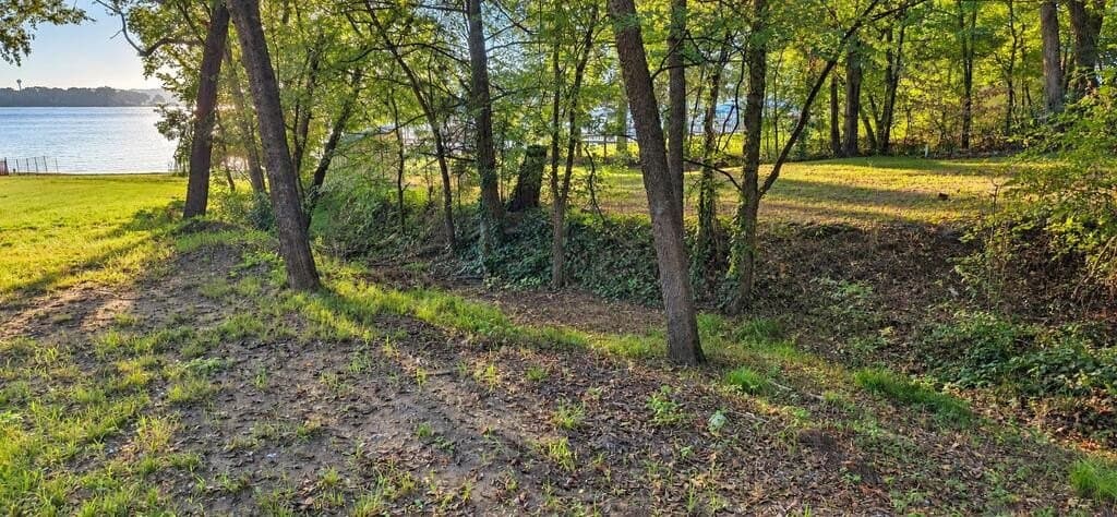 0.38 acres in SMITH County - photo 6