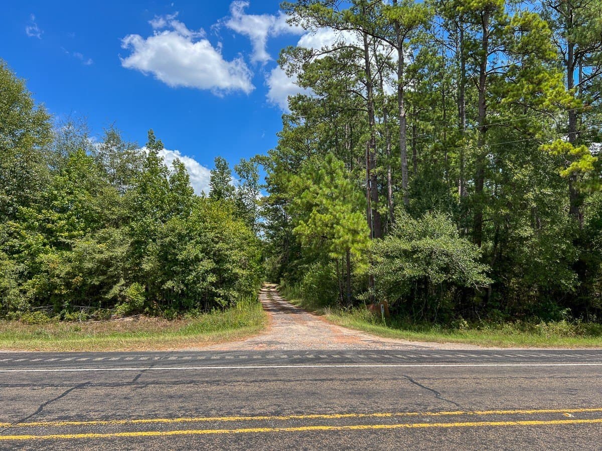 231 acres in Tyler County - photo 2