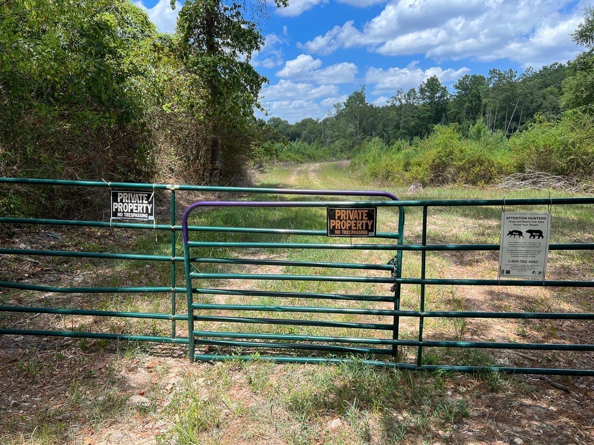 231 acres in Tyler County - photo 3