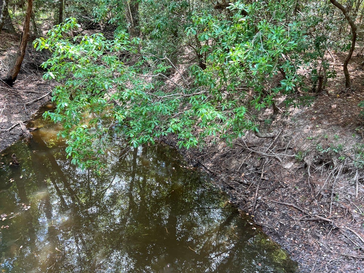 231 acres in Tyler County - photo 7