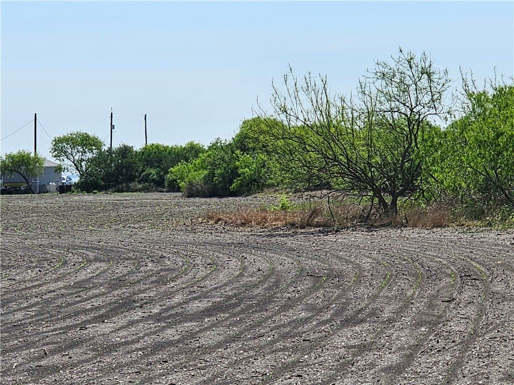 0 acres in Refugio County gallery image 2