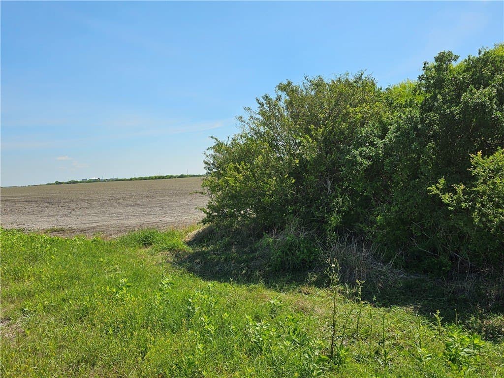 0 acres in Refugio County gallery image 3