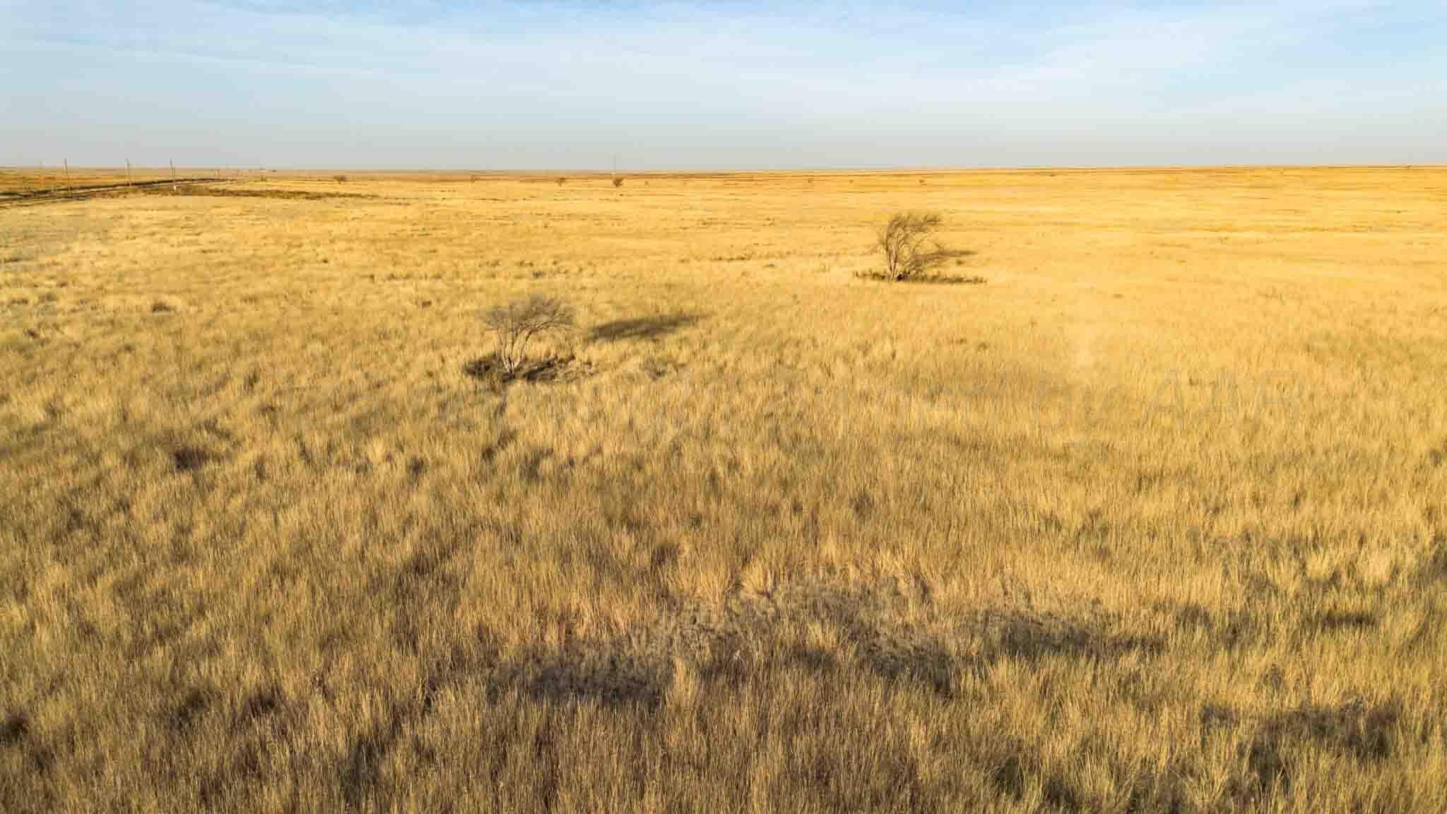 634 acres in Deaf Smith County gallery image 3