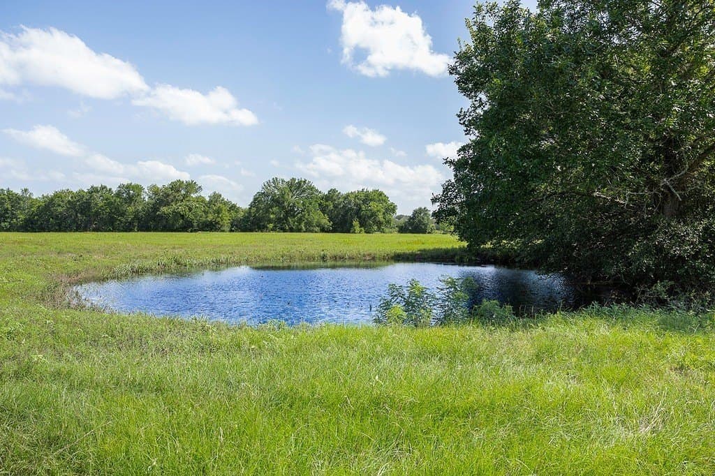 30 acres in Lee County - photo 20