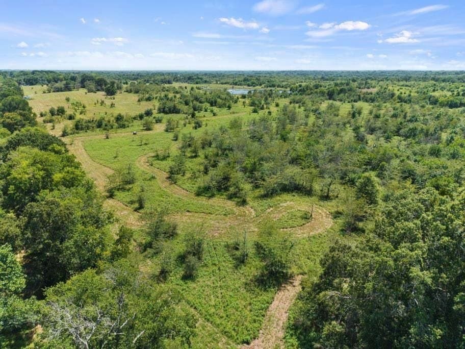 525.08 acres in Hopkins County gallery image 3