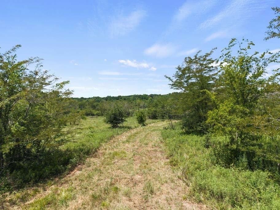 525.08 acres in Hopkins County gallery image 4