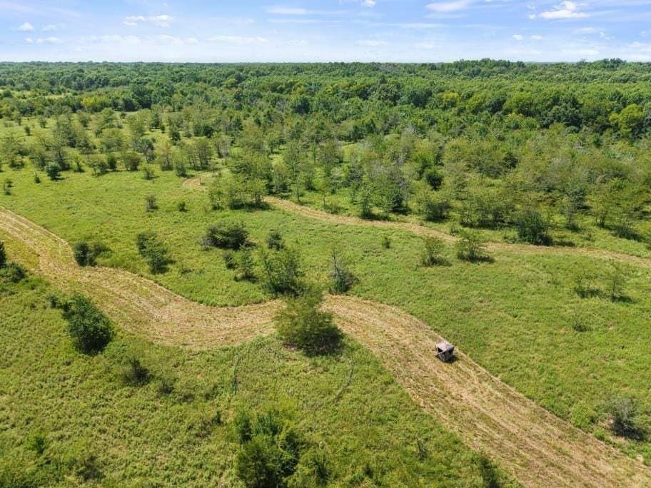 525.08 acres in Hopkins County gallery image 2