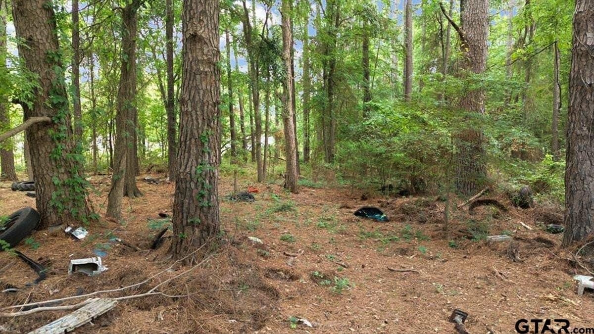 2 acres in Upshur County - photo 13