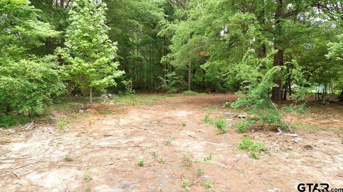 2 acres in Upshur County - photo 10