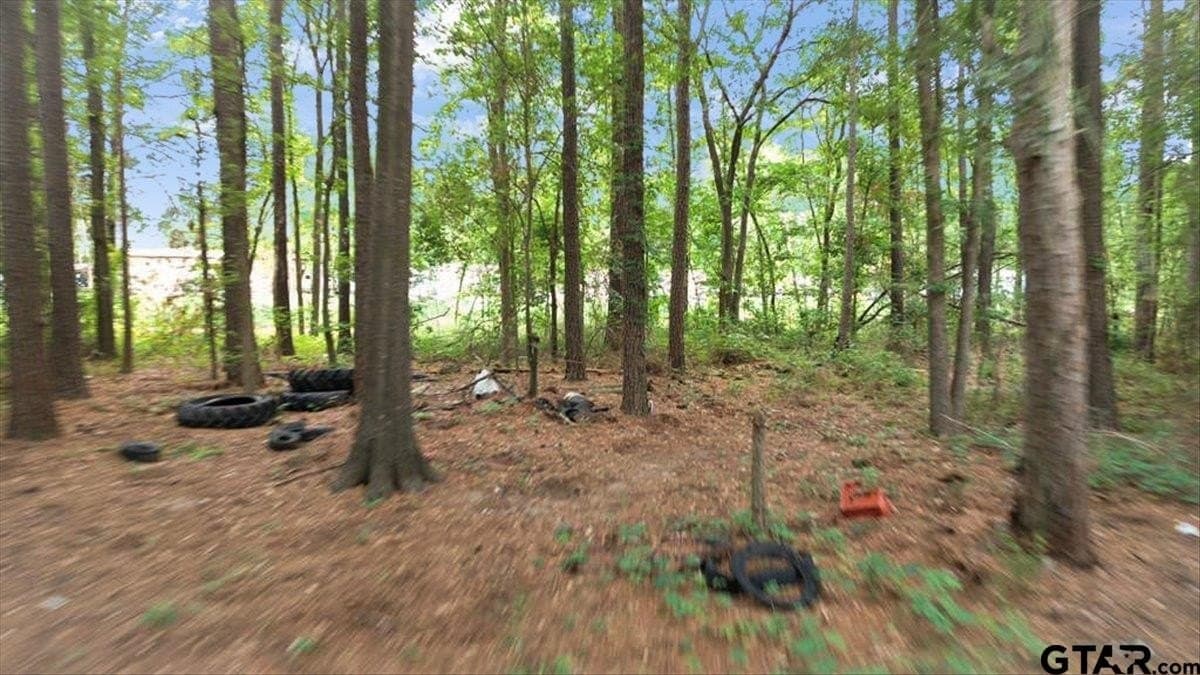 2 acres in Upshur County - photo 12
