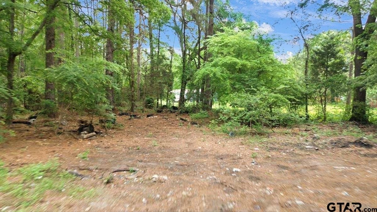 2 acres in Upshur County - photo 17