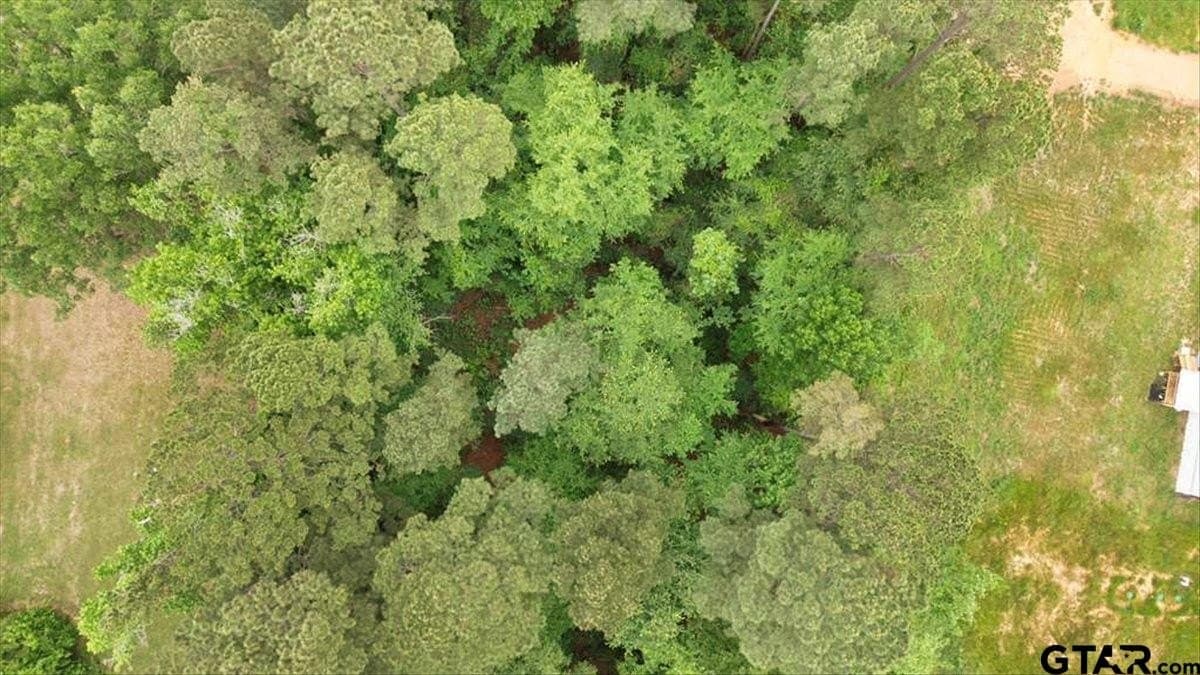 2 acres in Upshur County - photo 8