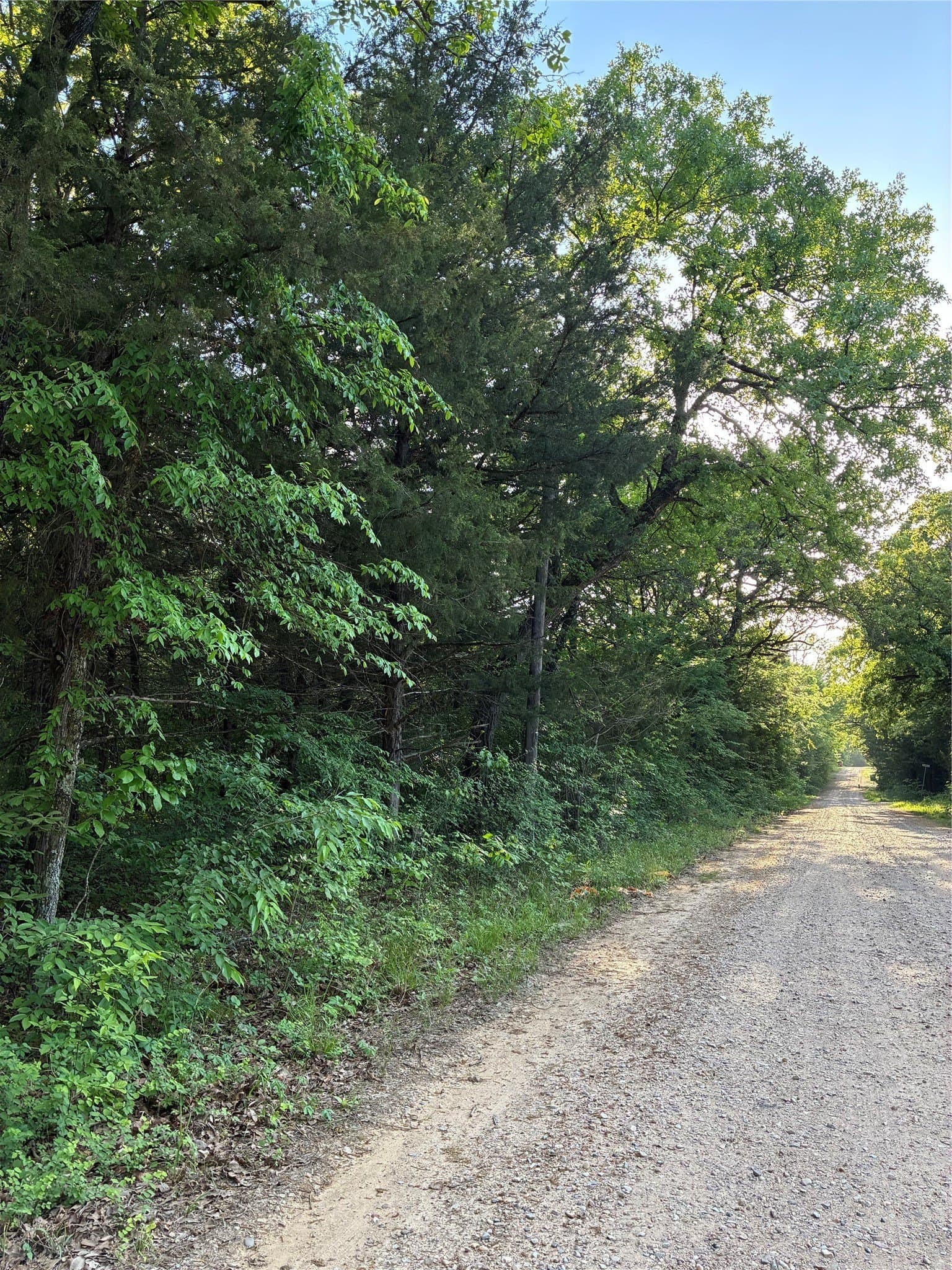 0.29 acres in Fannin County - photo 3