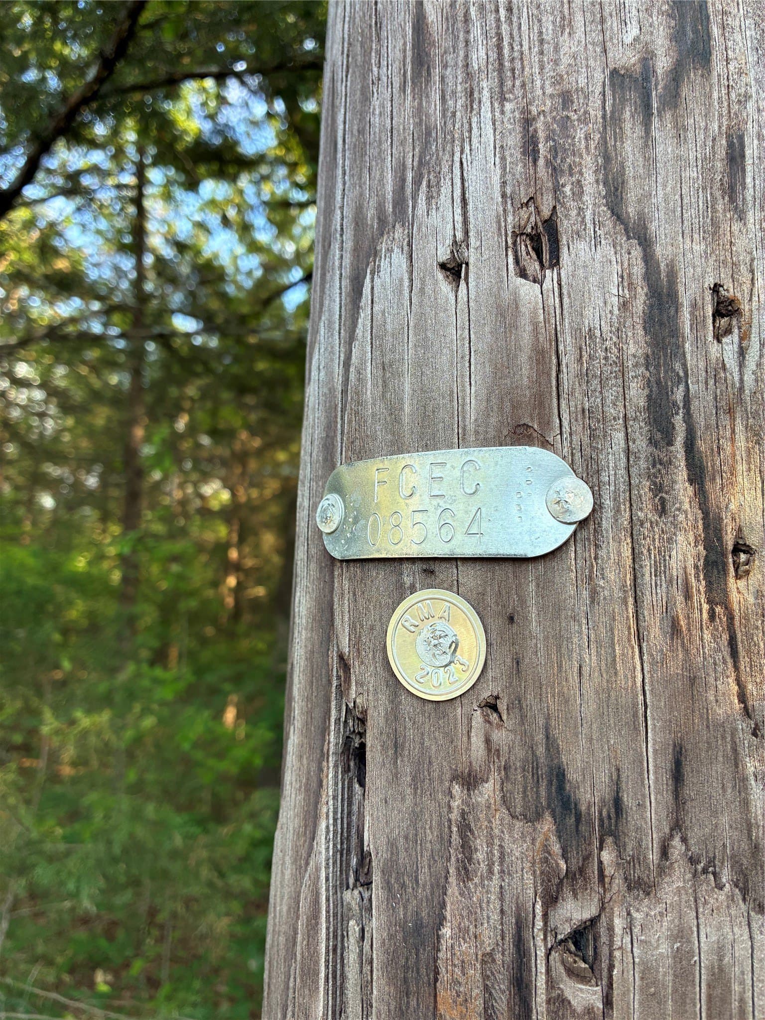 0.29 acres in Fannin County - photo 4