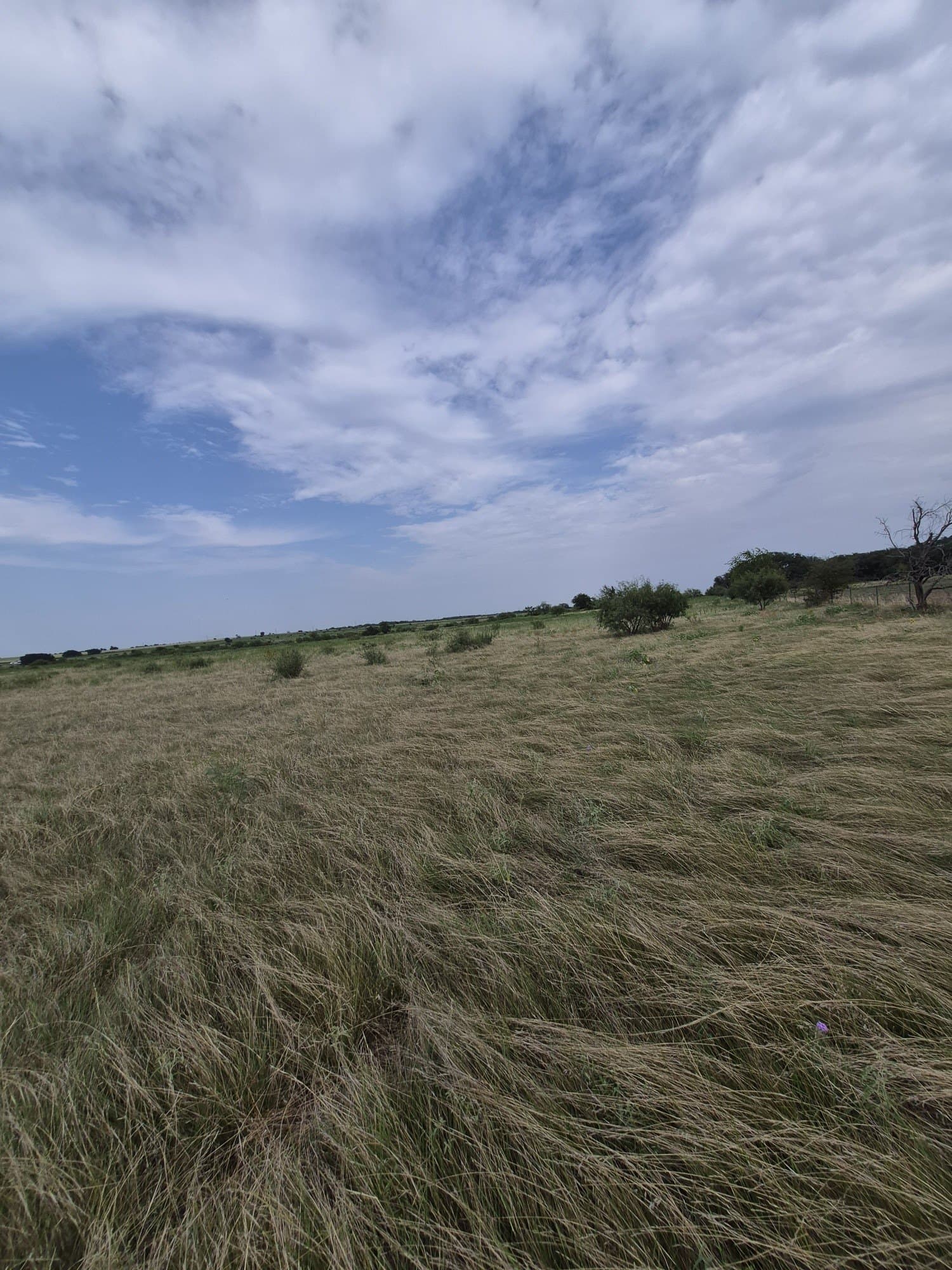 10.01 acres in Hamilton County featured view