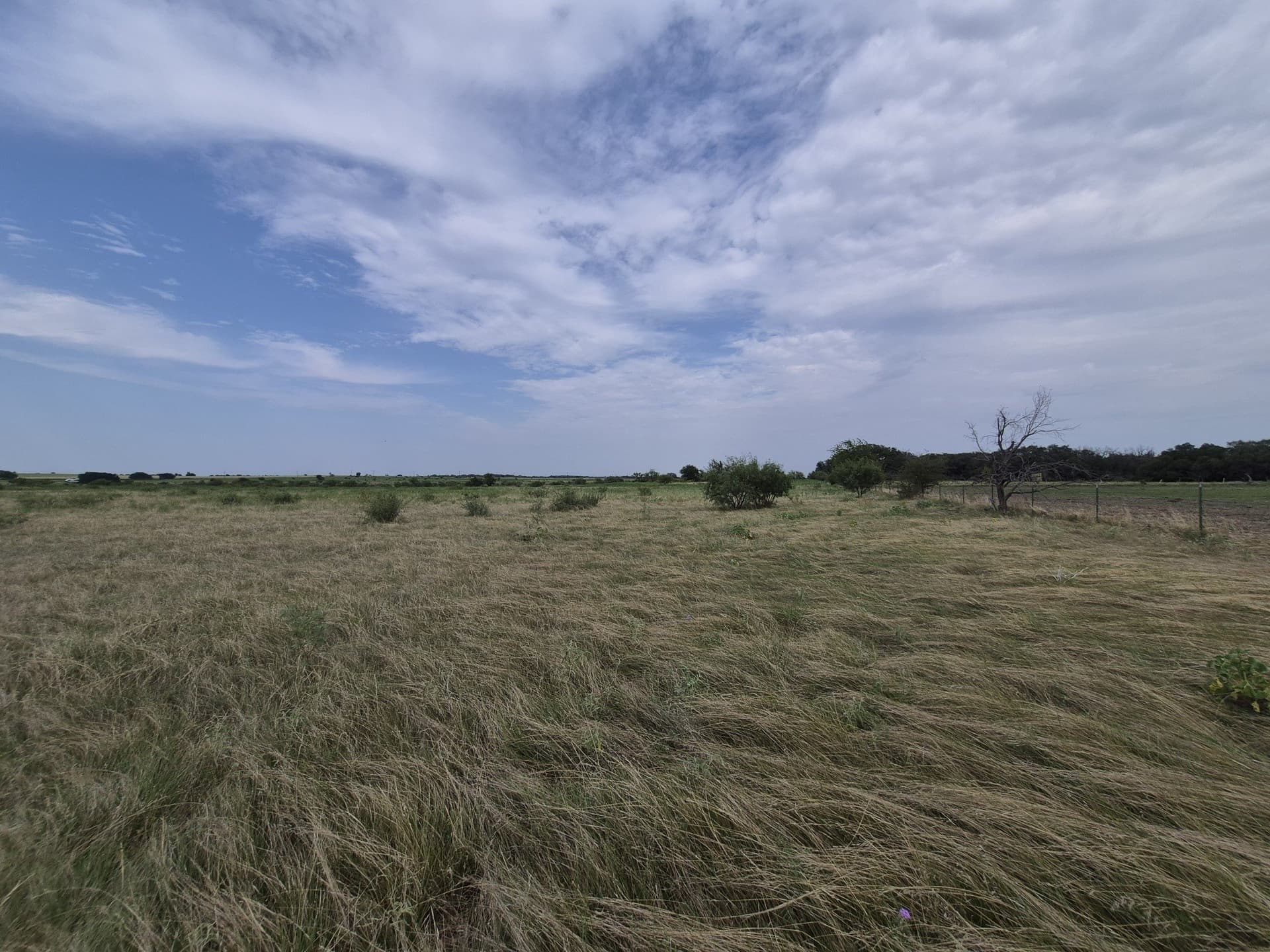 10.01 acres in Hamilton County gallery image 2