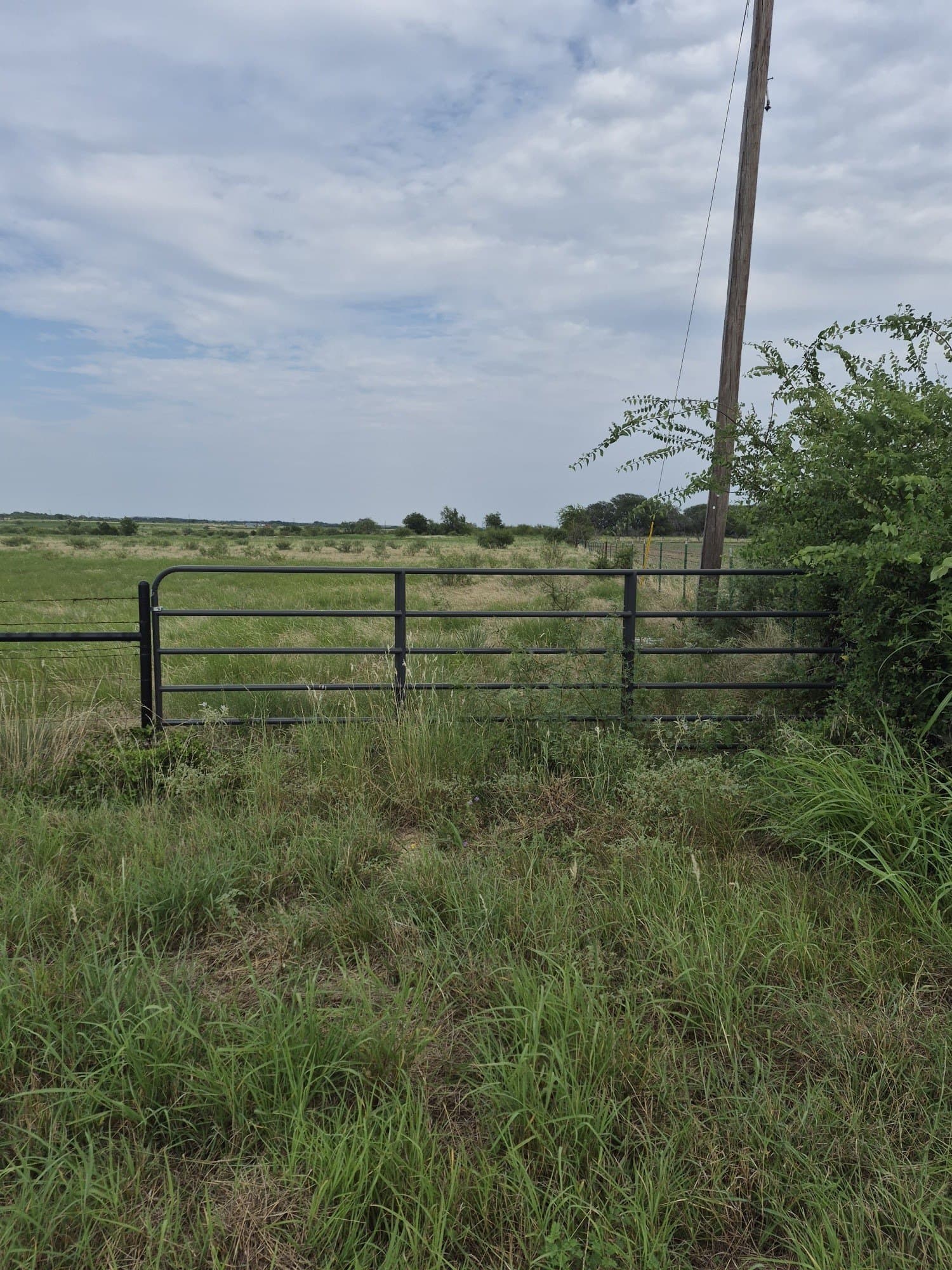 10.01 acres in Hamilton County - photo 14