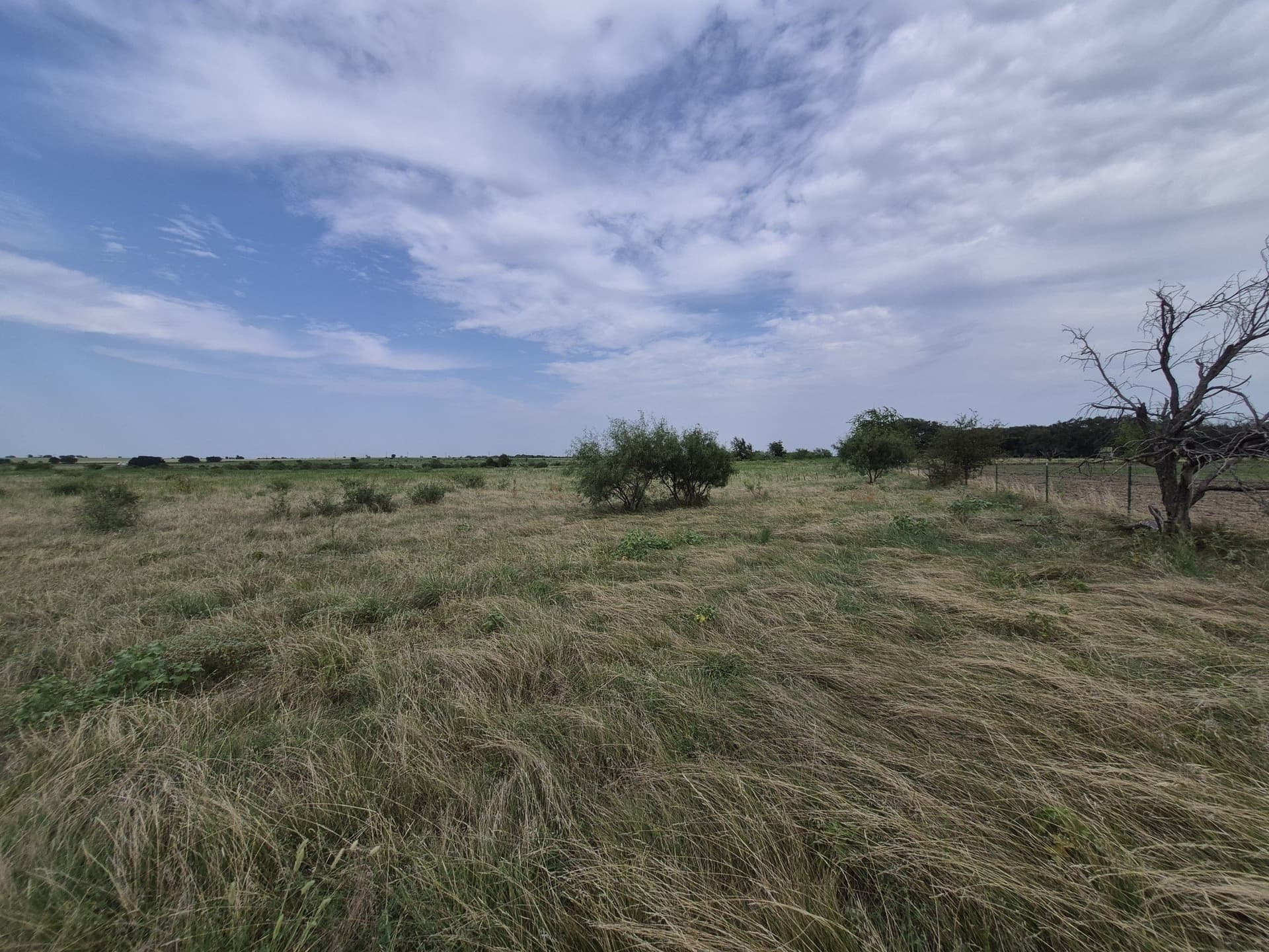 10.01 acres in Hamilton County - photo 8