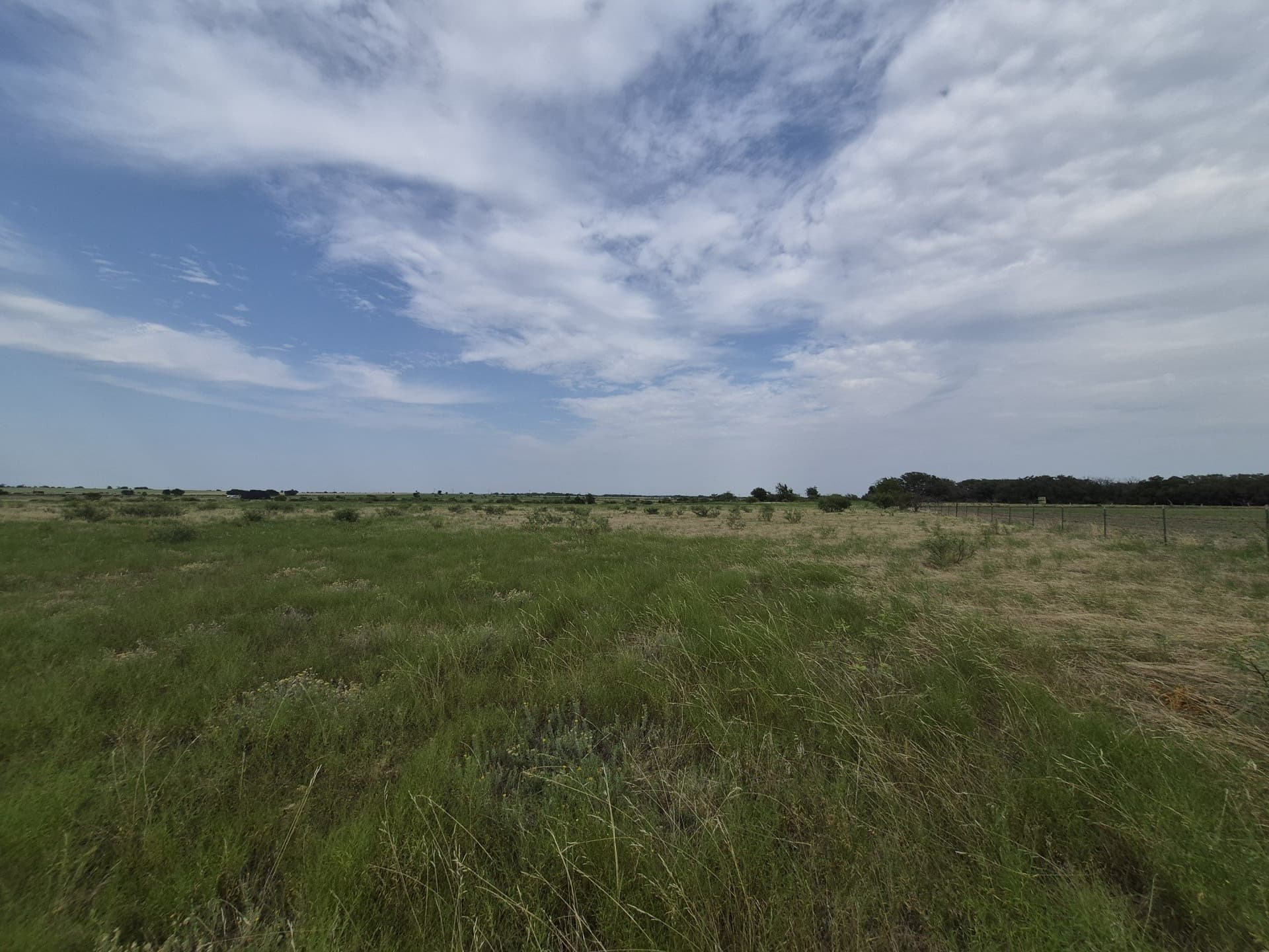 10.01 acres in Hamilton County gallery image 3