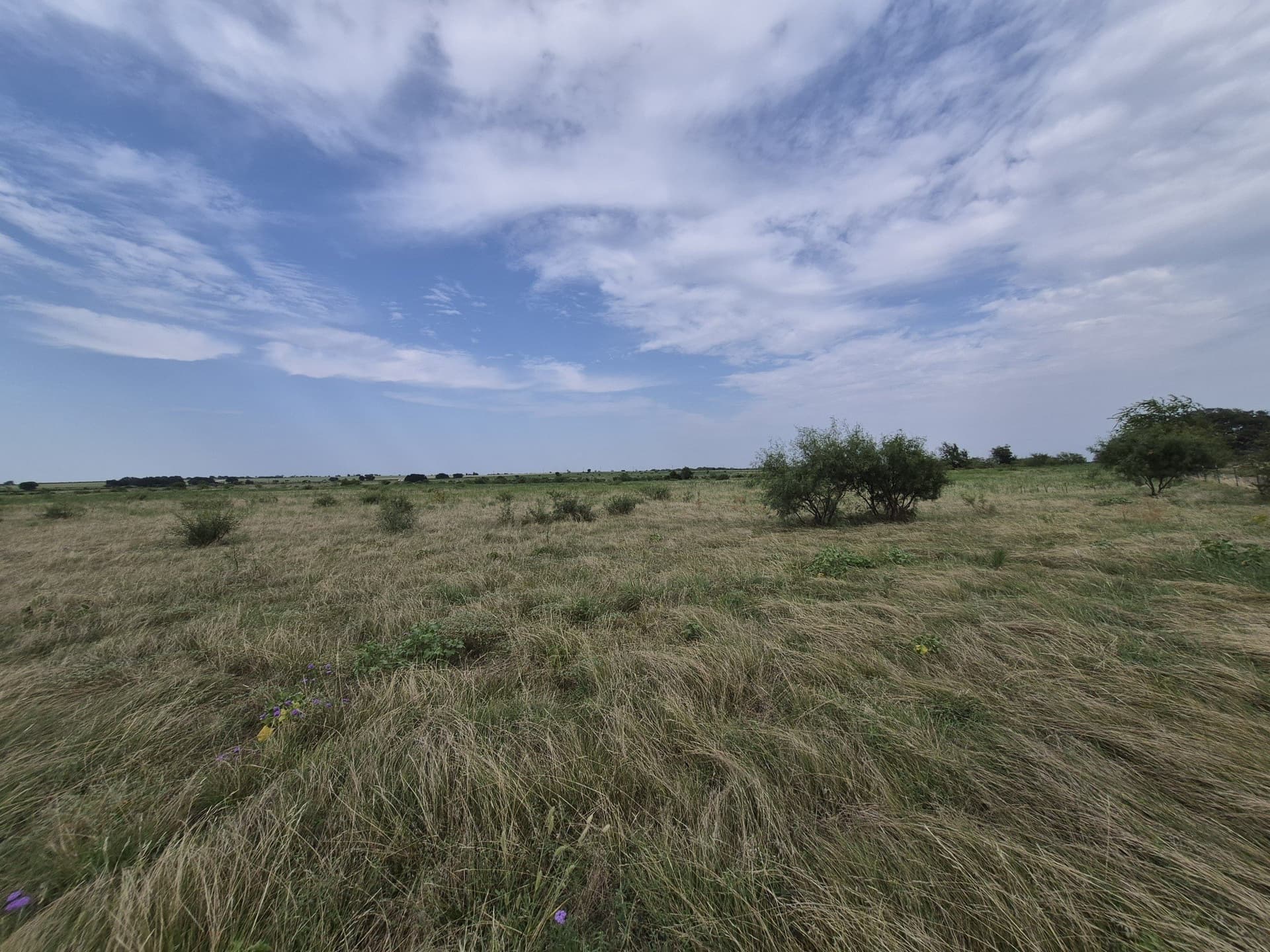 10.01 acres in Hamilton County - photo 10
