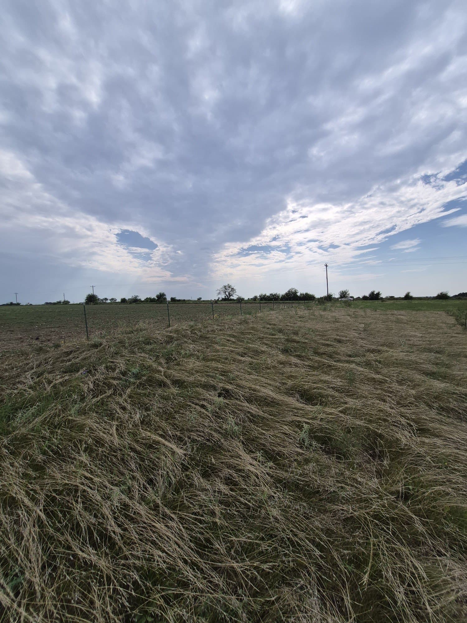 10.01 acres in Hamilton County gallery image 4