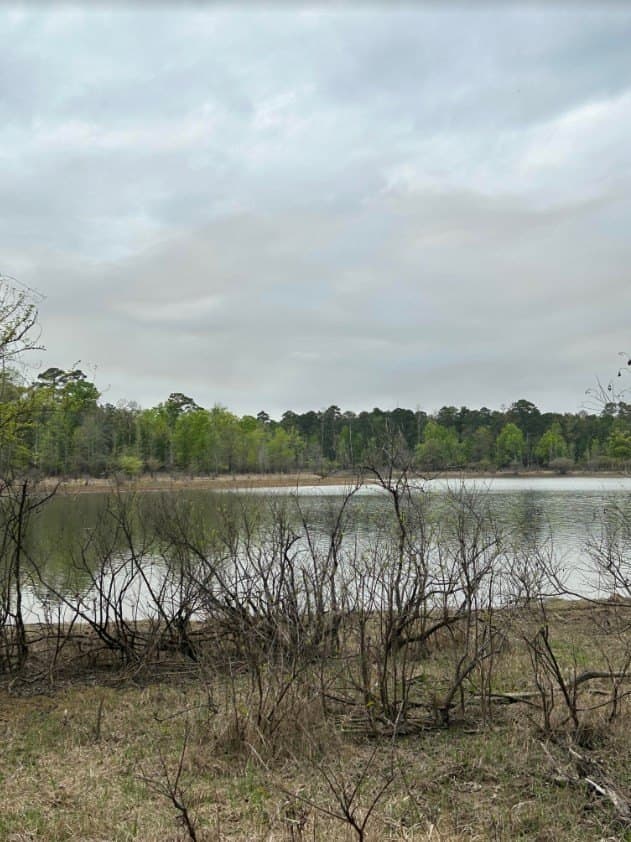 2.58 acres in Texas County gallery image 4
