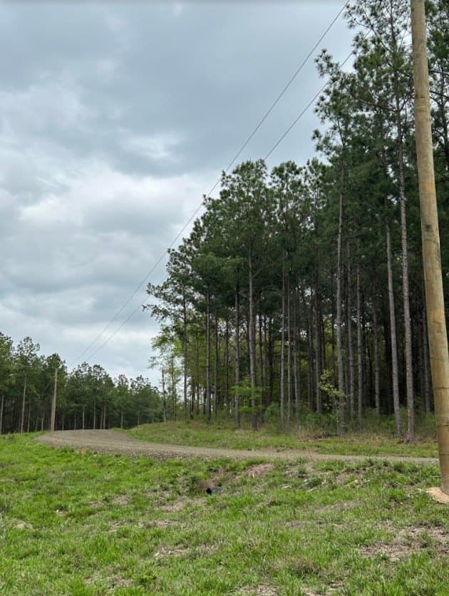 2.58 acres in Texas County - photo 9