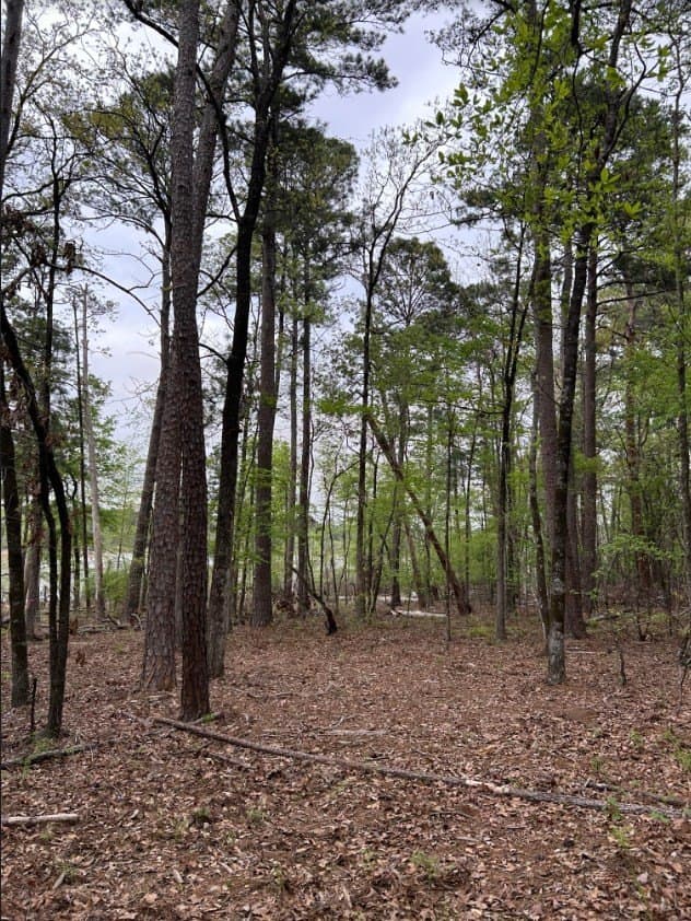 2.58 acres in Texas County gallery image 3