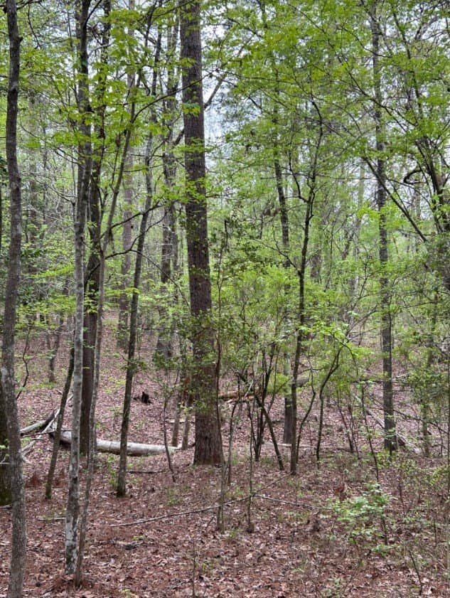 2.58 acres in Texas County - photo 6
