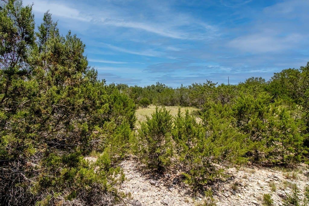 8.02 acres in Kerr County featured view
