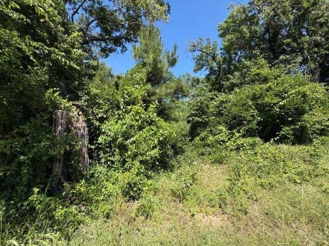 5.3 acres in Rusk County gallery image 4