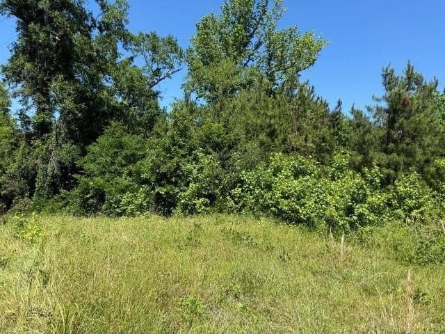5.3 acres in Rusk County featured view
