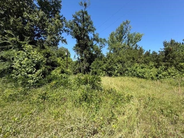 5.3 acres in Rusk County gallery image 3