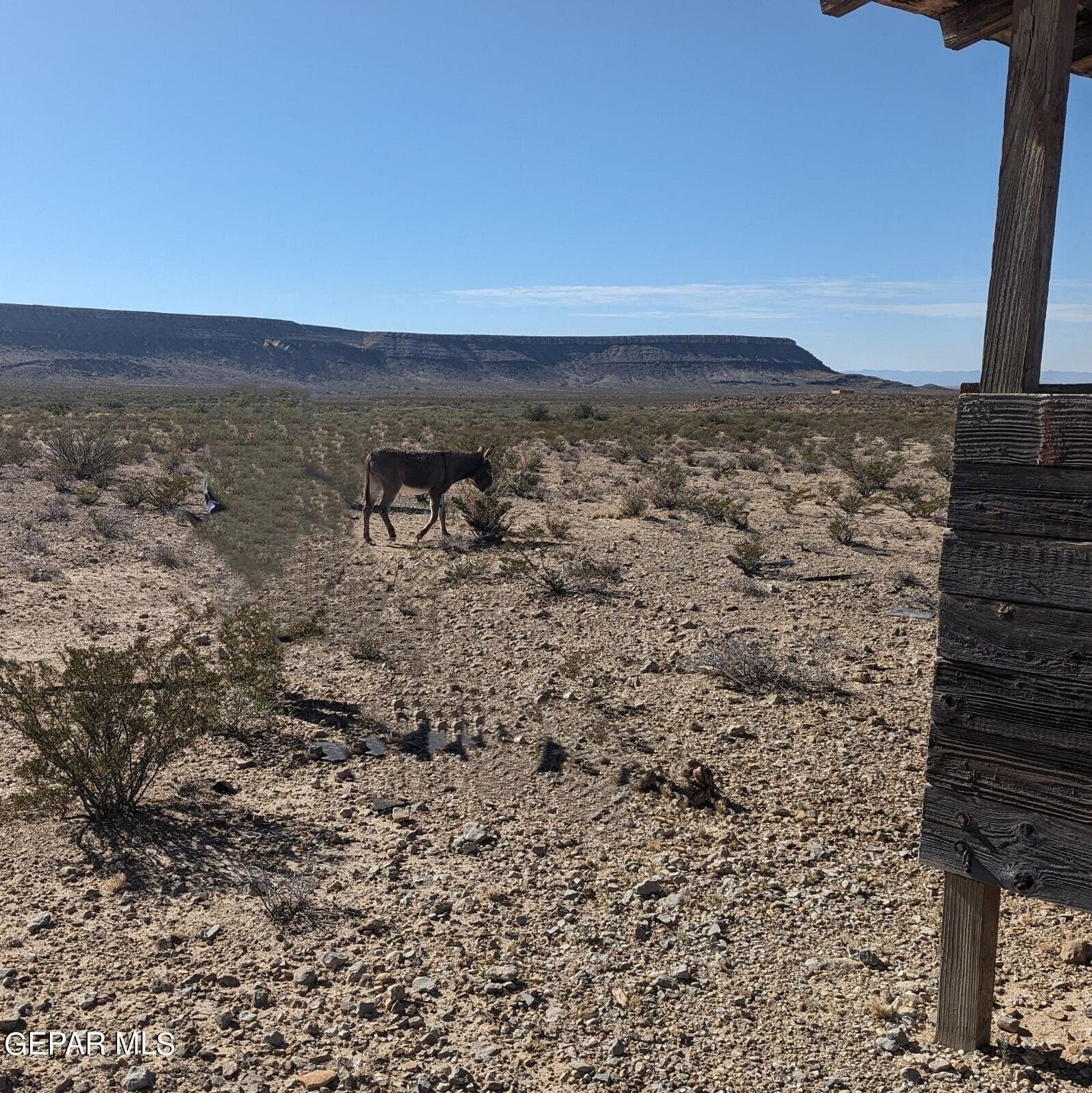 20 acres in Hudspeth County gallery image 4
