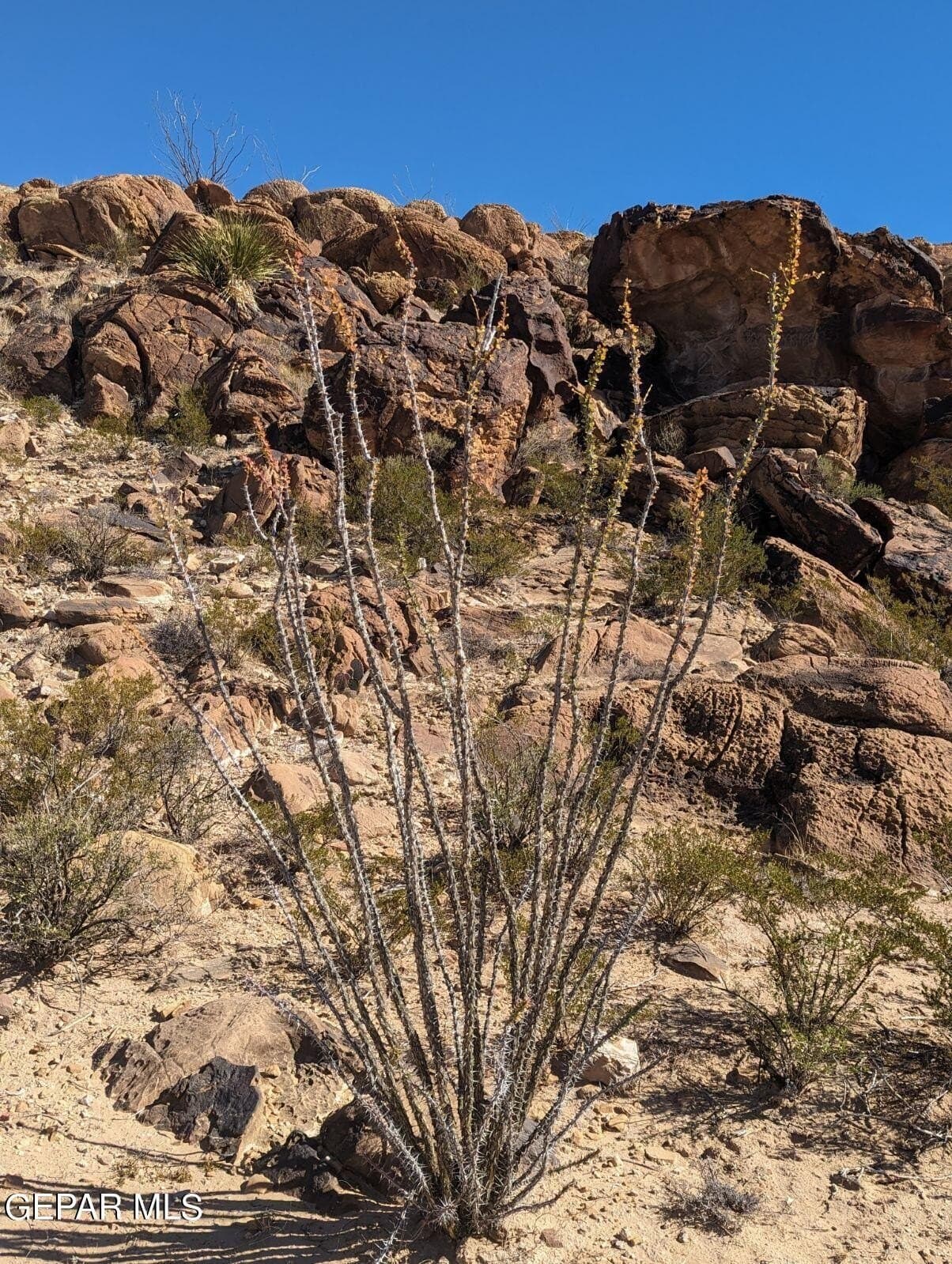 20 acres in Hudspeth County featured view