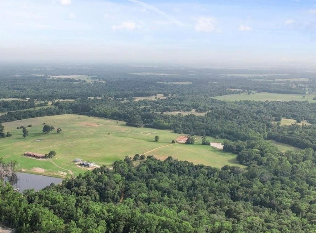 86.5 acres in Anderson County gallery image 4