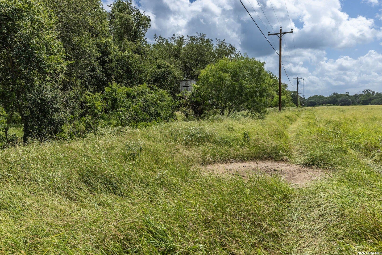 40 acres in Guadalupe County gallery image 4
