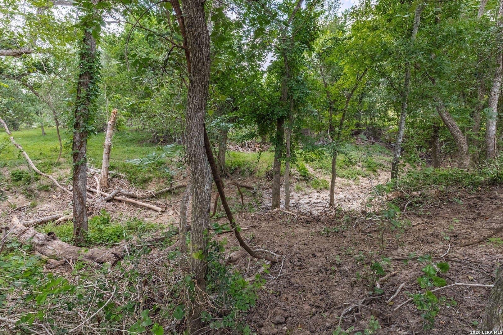 40 acres in Guadalupe County - photo 8