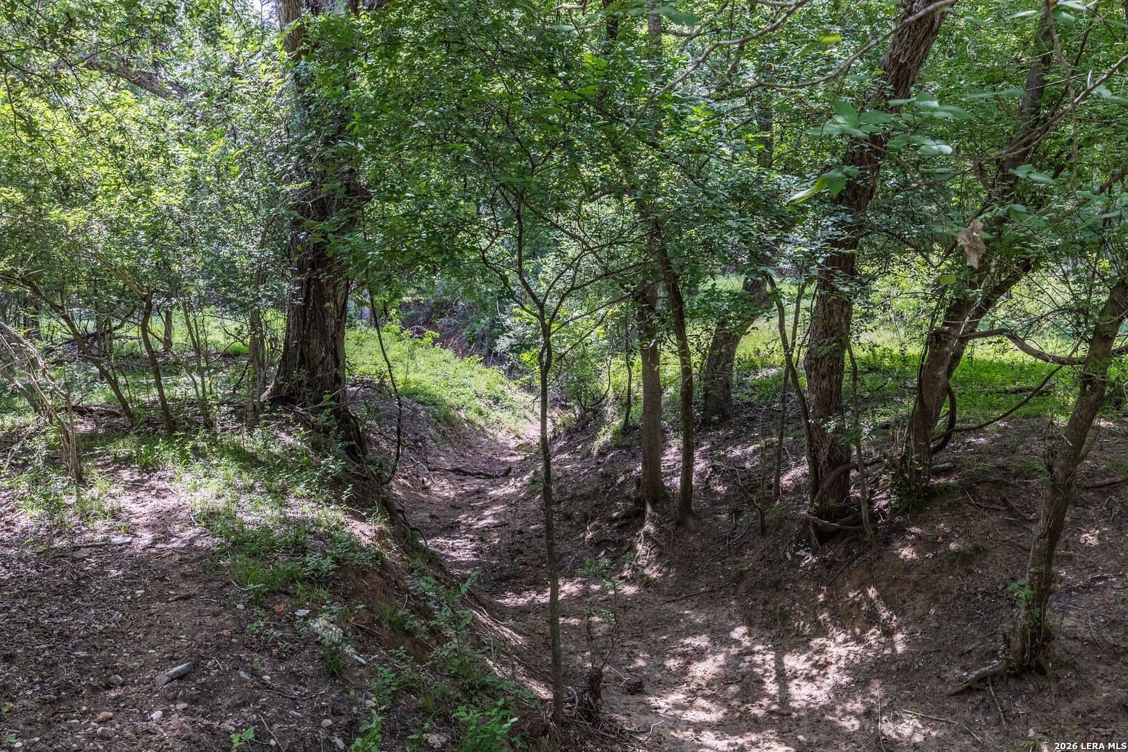 40 acres in Guadalupe County - photo 9