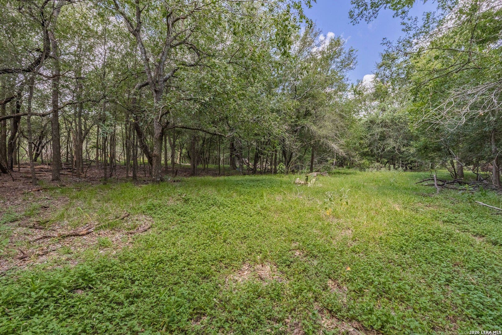 40 acres in Guadalupe County - photo 10