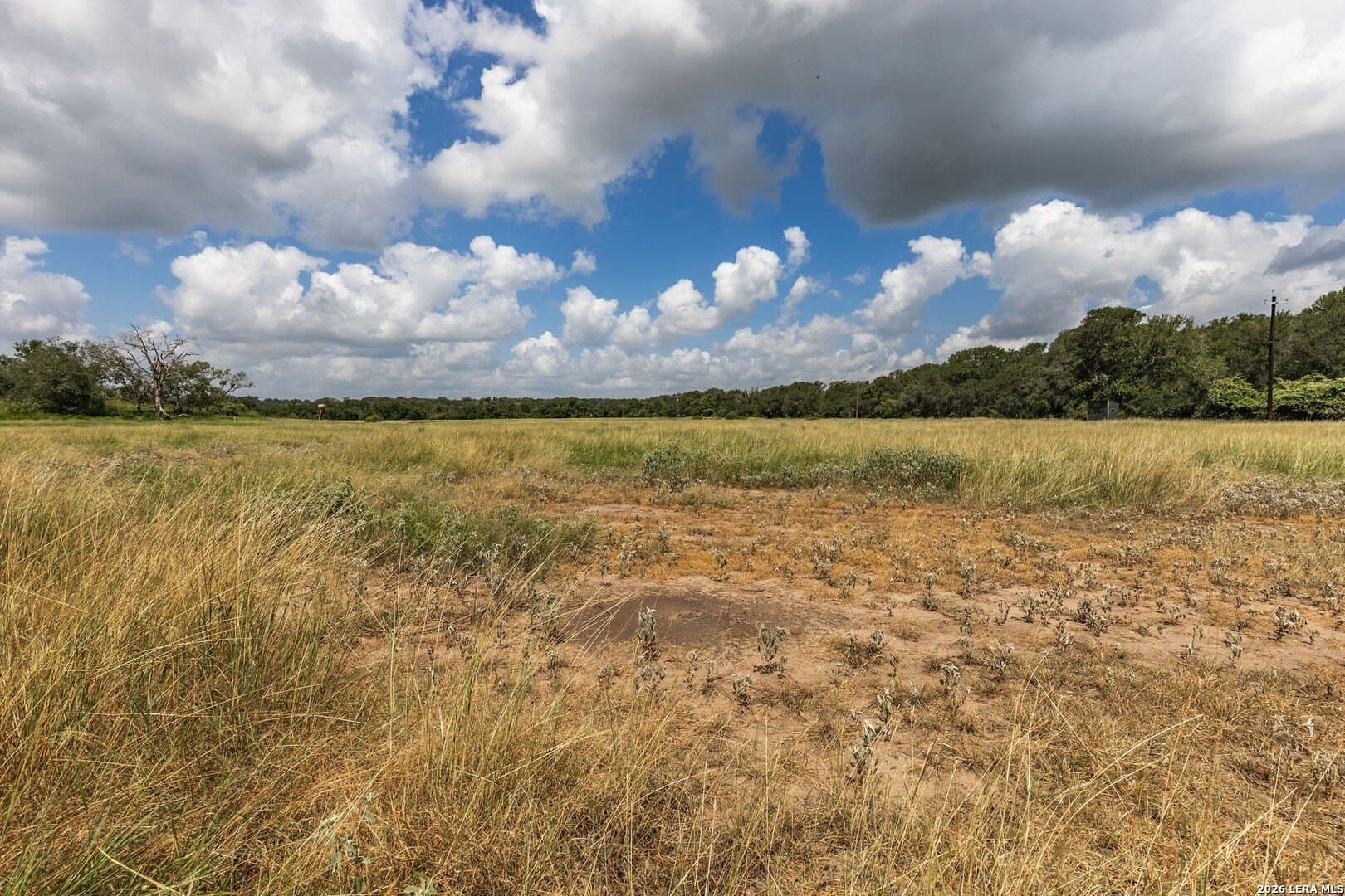 40 acres in Guadalupe County - photo 6