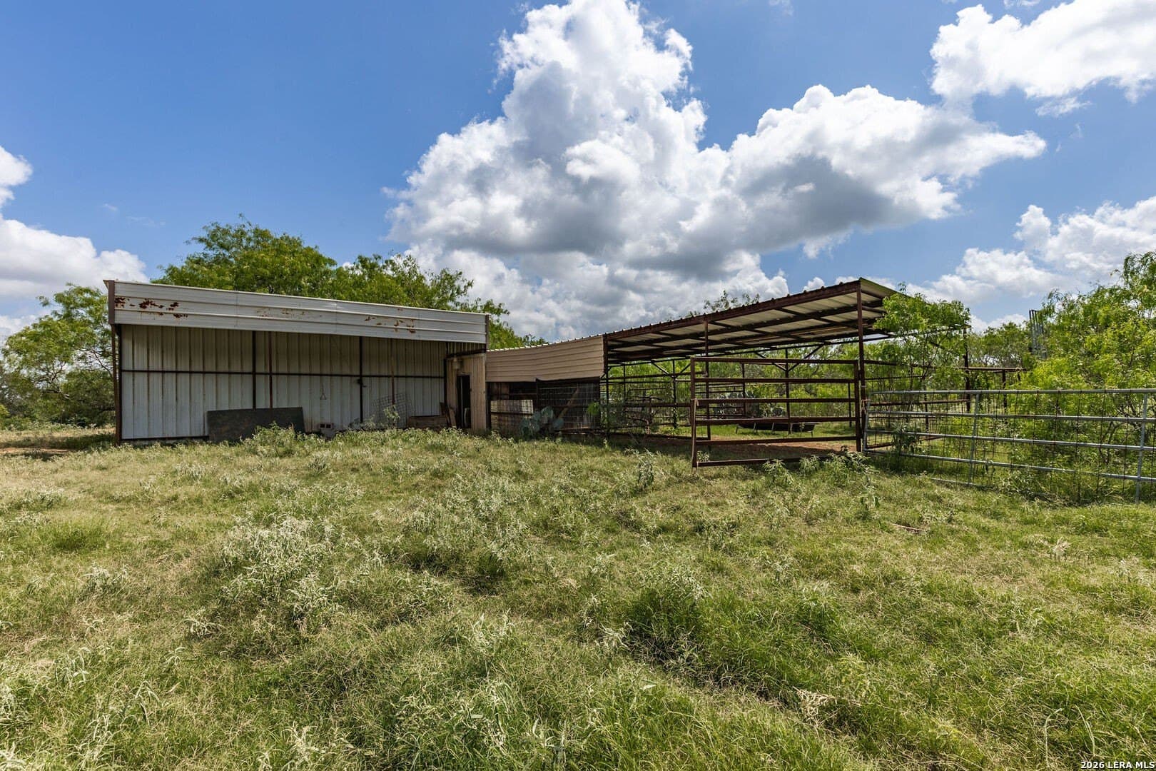 40 acres in Guadalupe County - photo 7