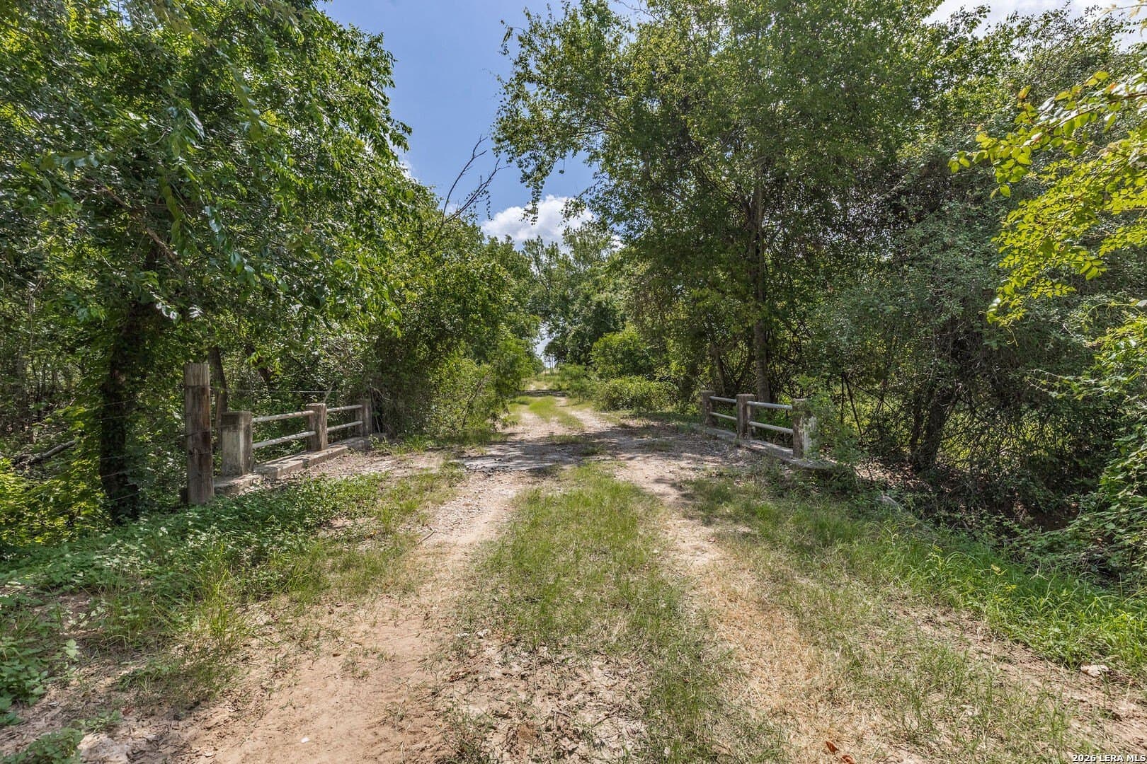 40 acres in Guadalupe County gallery image 2