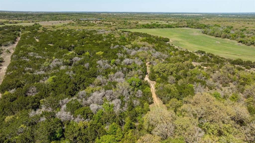 40 acres in Erath County gallery image 4