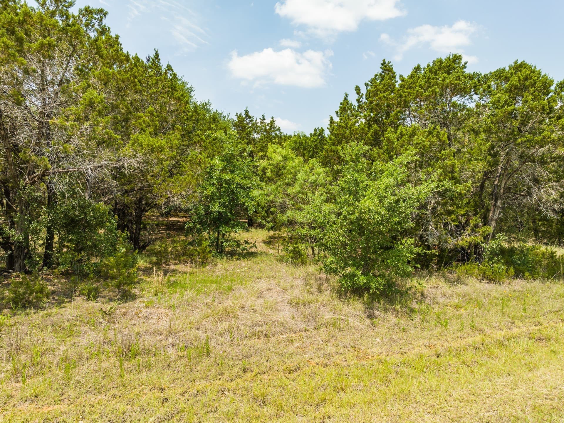 0.88 acres in Hill County gallery image 2