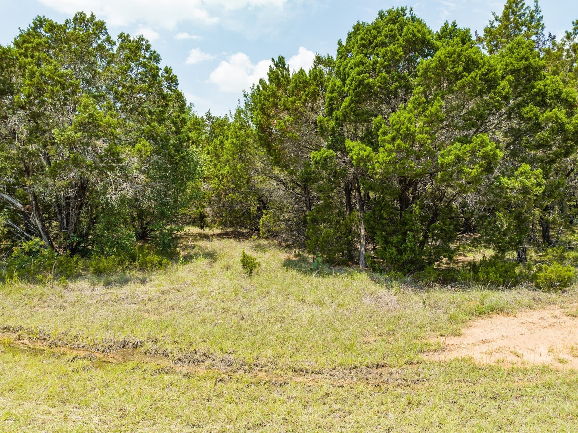 0.88 acres in Hill County gallery image 4